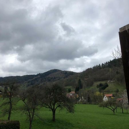 Petit Week End Dans La Vallee Breitenbach-Haut-Rhin エクステリア 写真