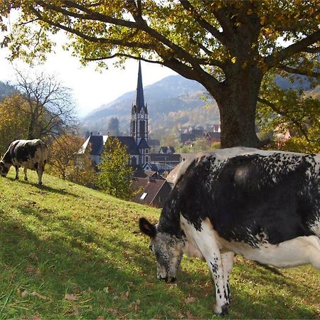 Petit Week End Dans La Vallee Breitenbach-Haut-Rhin エクステリア 写真