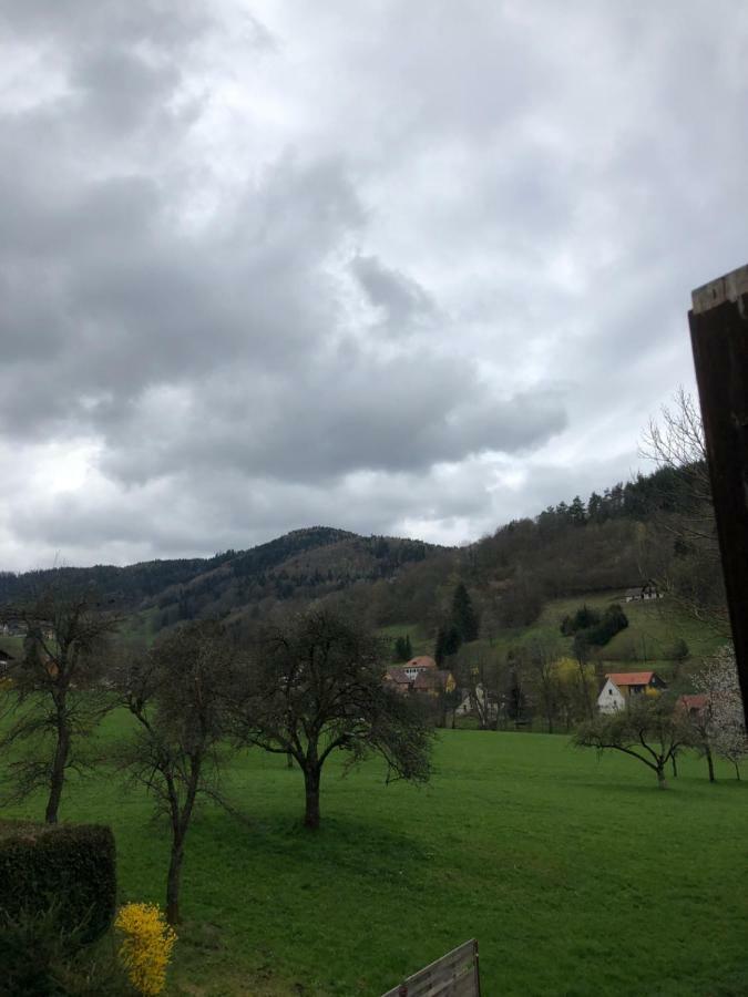 Petit Week End Dans La Vallee Breitenbach-Haut-Rhin エクステリア 写真