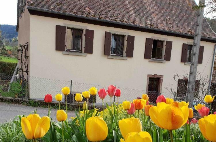 Petit Week End Dans La Vallee Breitenbach-Haut-Rhin エクステリア 写真