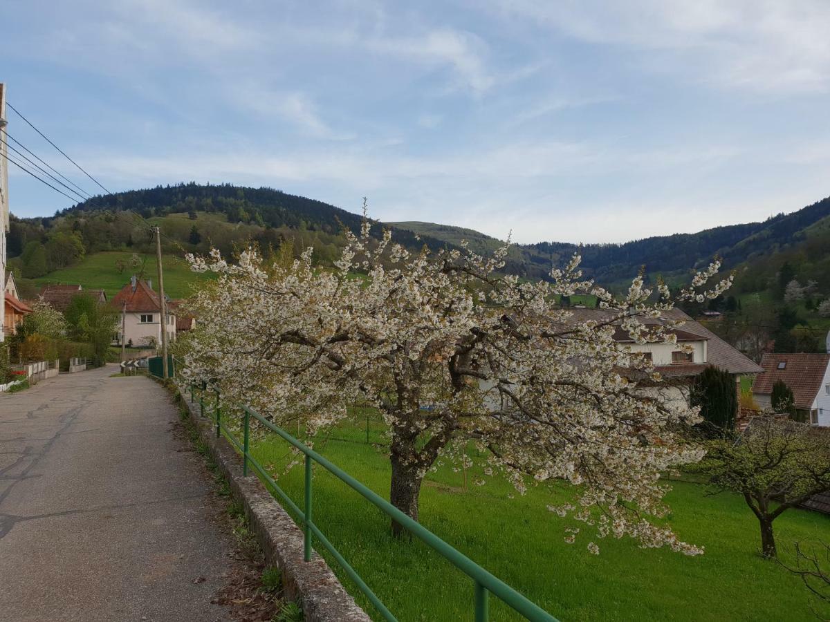 Petit Week End Dans La Vallee Breitenbach-Haut-Rhin エクステリア 写真