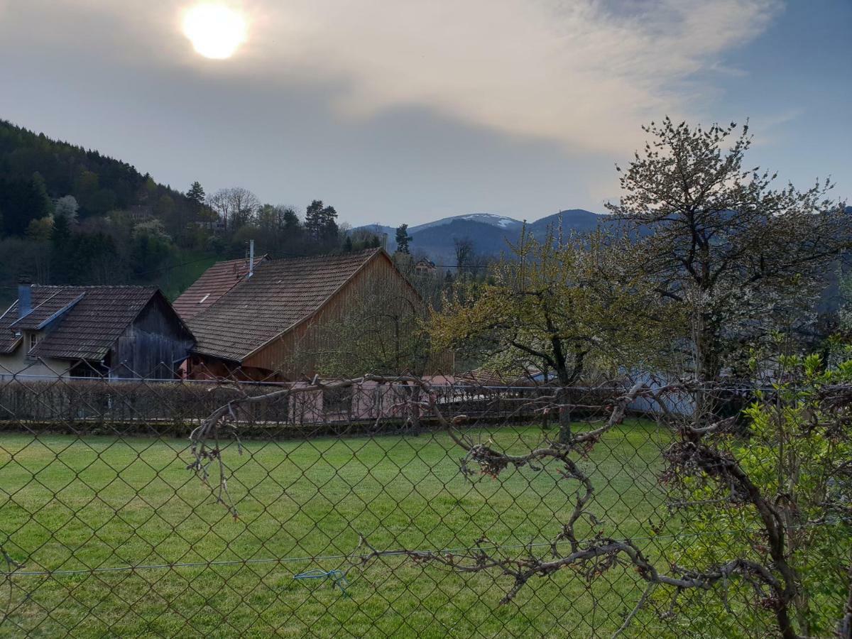 Petit Week End Dans La Vallee Breitenbach-Haut-Rhin エクステリア 写真