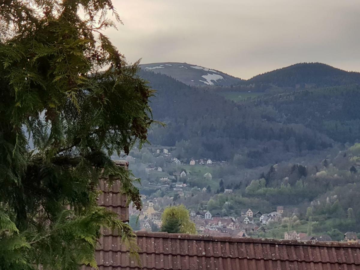 Petit Week End Dans La Vallee Breitenbach-Haut-Rhin エクステリア 写真