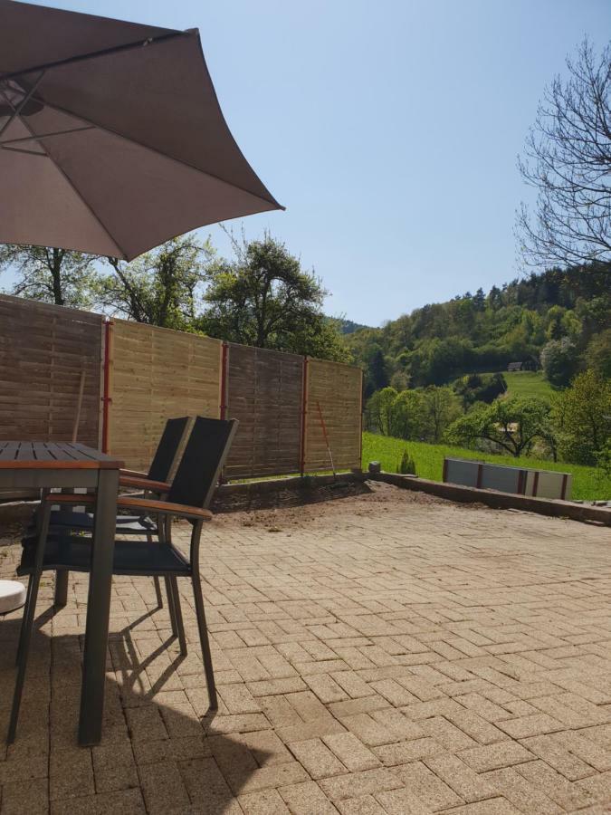 Petit Week End Dans La Vallee Breitenbach-Haut-Rhin エクステリア 写真