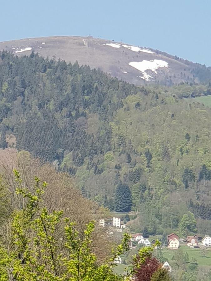 Petit Week End Dans La Vallee Breitenbach-Haut-Rhin エクステリア 写真