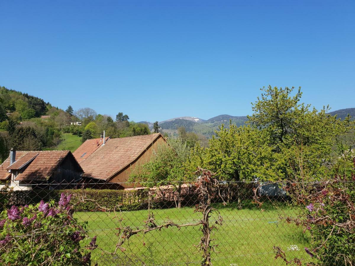 Petit Week End Dans La Vallee Breitenbach-Haut-Rhin エクステリア 写真