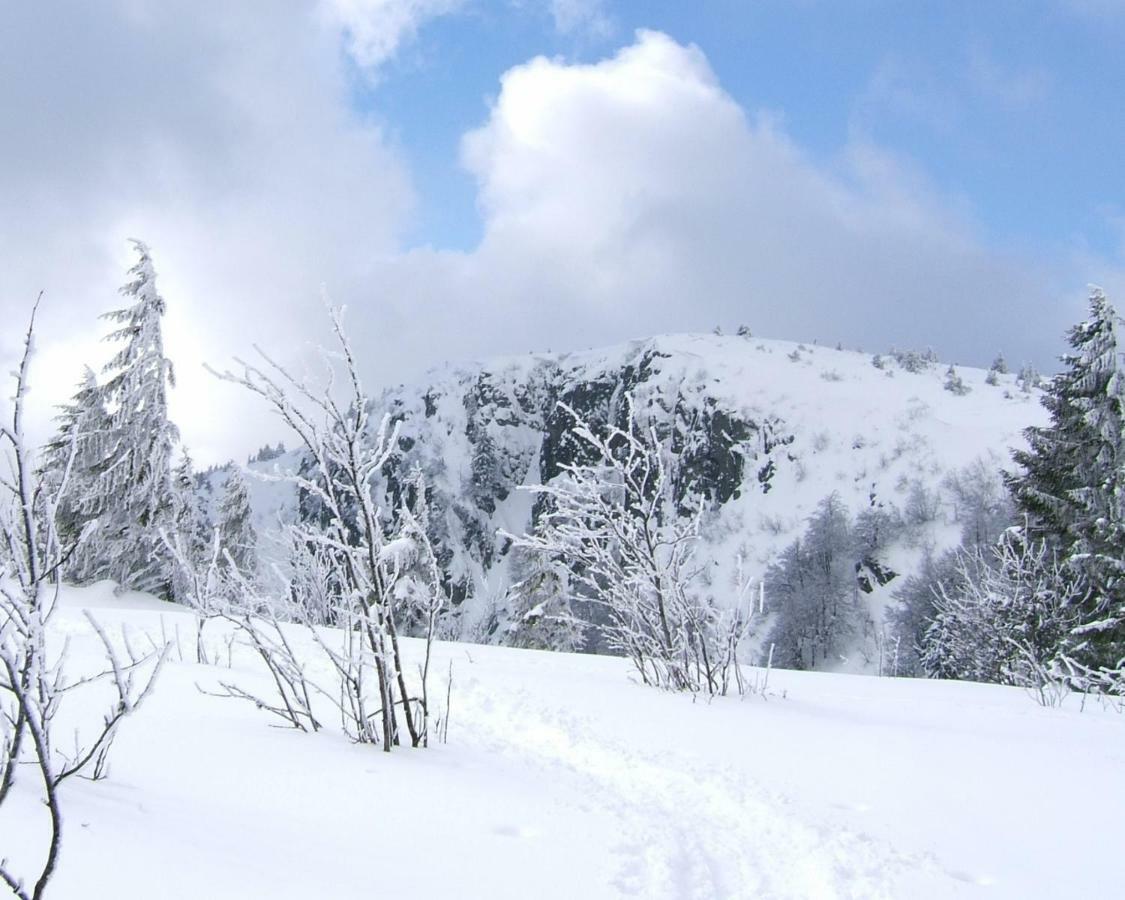 Petit Week End Dans La Vallee Breitenbach-Haut-Rhin エクステリア 写真