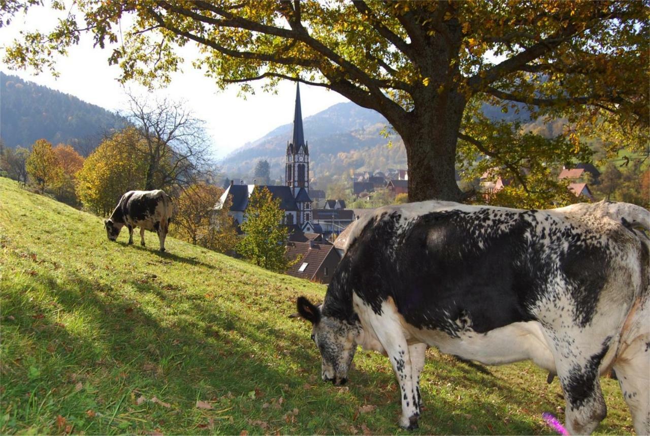 Petit Week End Dans La Vallee Breitenbach-Haut-Rhin エクステリア 写真