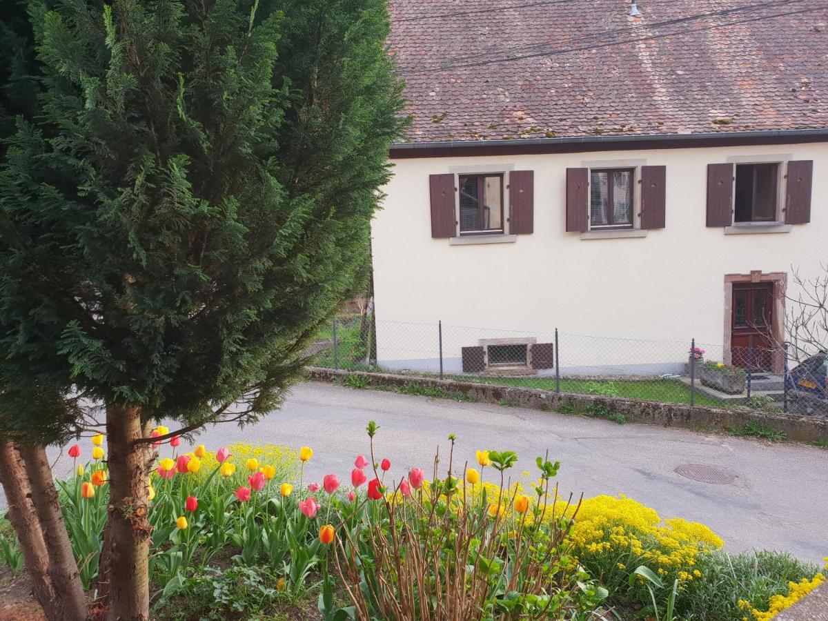 Petit Week End Dans La Vallee Breitenbach-Haut-Rhin エクステリア 写真