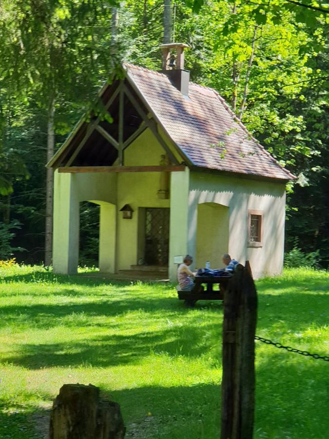 Petit Week End Dans La Vallee Breitenbach-Haut-Rhin エクステリア 写真